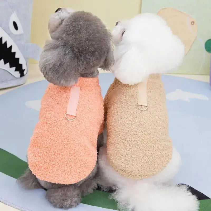 Dog Clothing