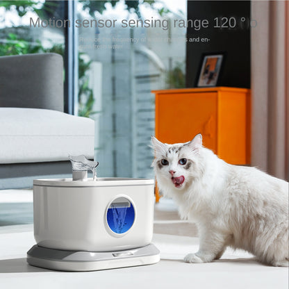 Pet Water Dispenser