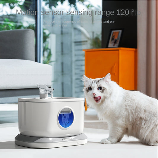 Pet Water Dispenser
